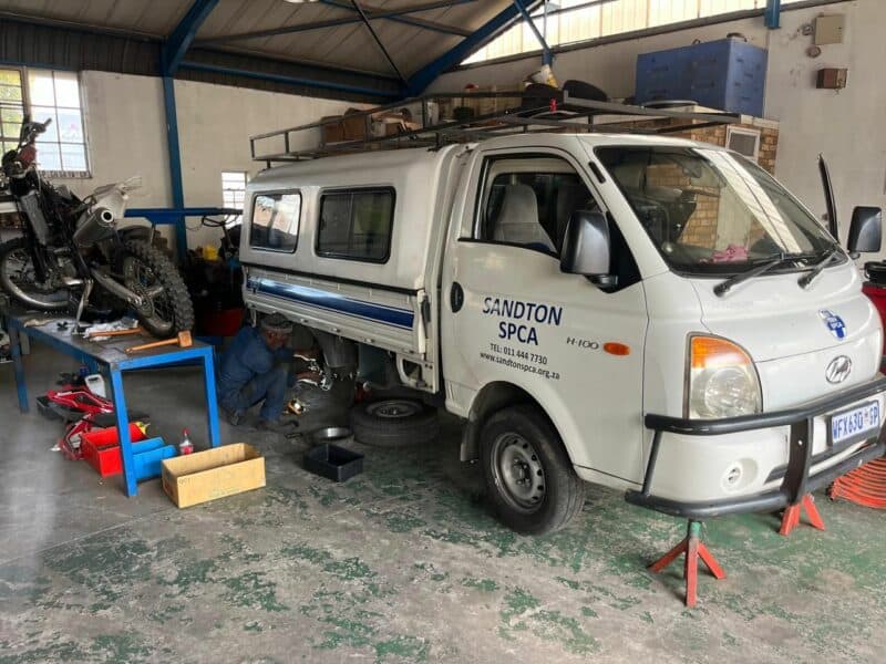 A Nissan P200 and Hyundai H100 are now fully operational after extensive repairs, restoring the SPCA’s ability to respond to emergencies across 176 suburbs.