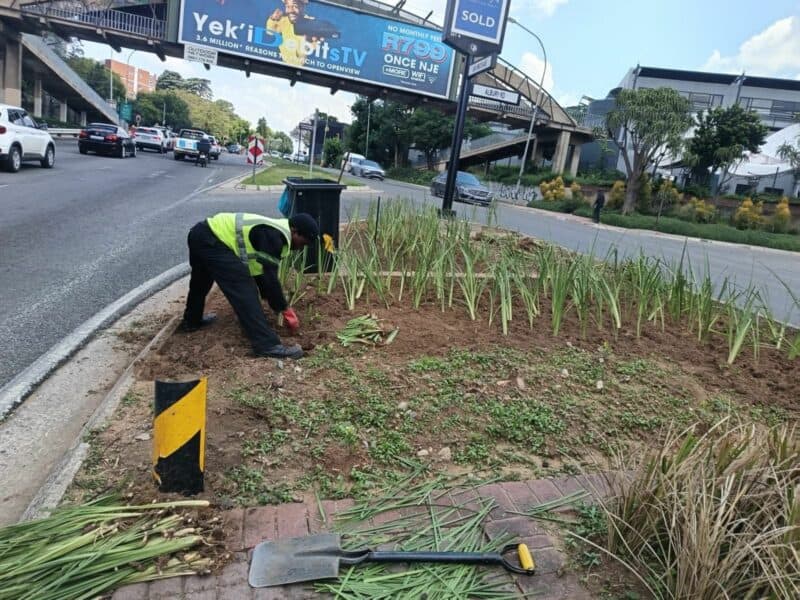 A new precinct initiative brings coordinated cleaning, security, and beautification to Hyde Park’s stretch of Jan Smuts Avenue.