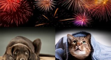 For illustration purposes only.