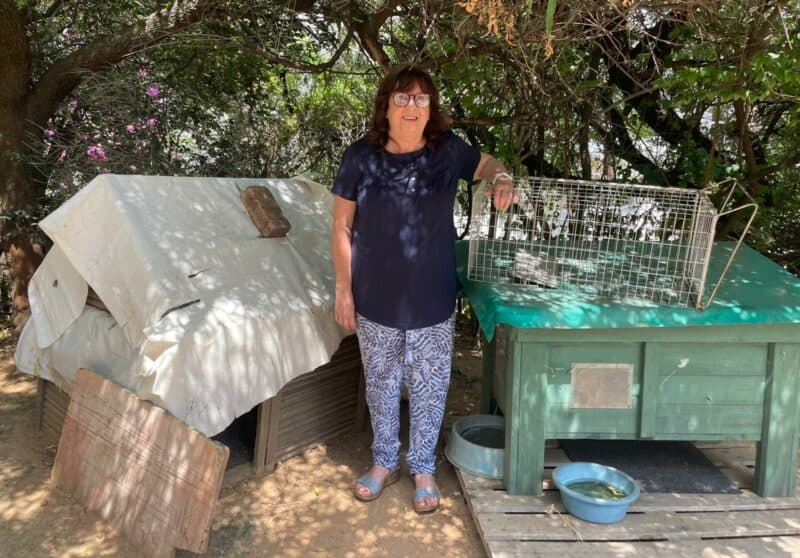 Nearly 80 feral cats and countless dogs rely on Ilona Gersun every day. Facing mounting costs and deteriorating kennels, she’s asking the community to help protect the animals who have no one else.