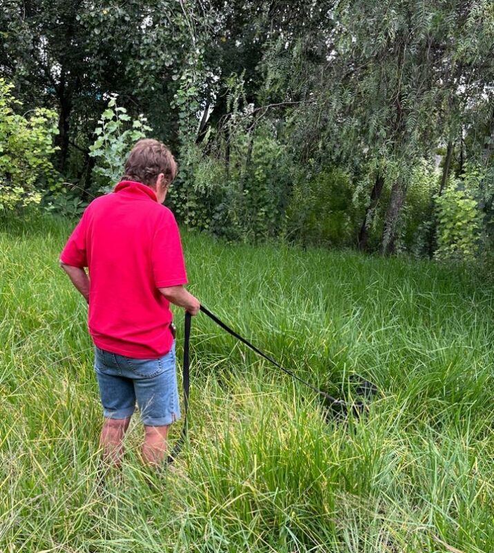 City Parks says ecological preservation limits the cutting of grass at the Morningside park, while residents raise concerns over overgrowth and safety.