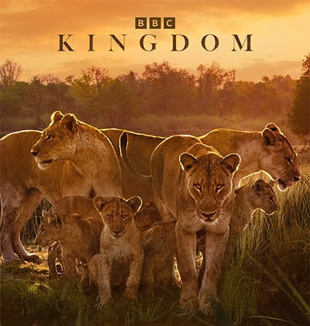 Lions