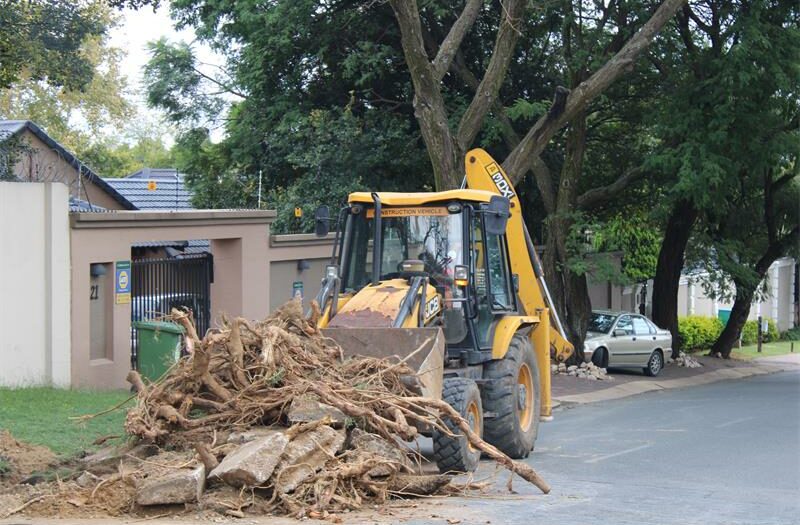 Motorists forced into oncoming traffic can expect relief as long-problematic tree roots in Gallo Manor are removed.