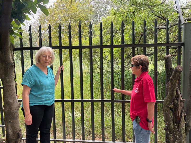 Community members question maintenance delays, incomplete grass cutting, and worsening environmental damage at the Morningside greenbelt.