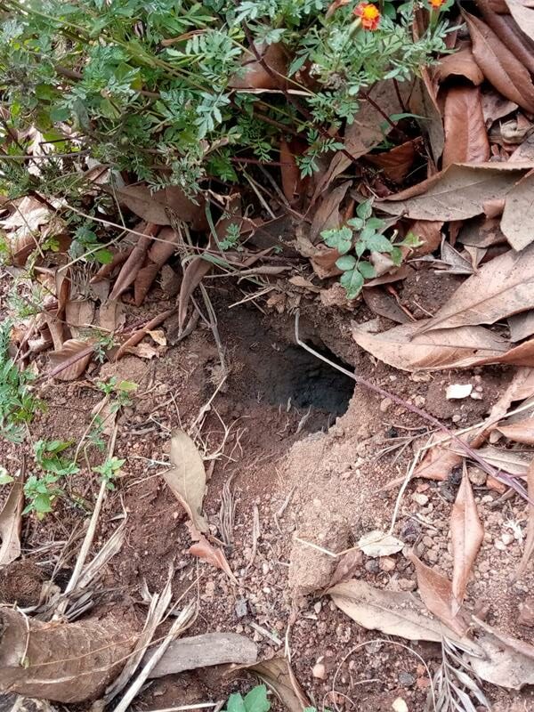 Smoke and loud underground blasts near Third and Melville Roads have sparked safety fears, with a local security guard warning that someone might get hurt if not attended to.