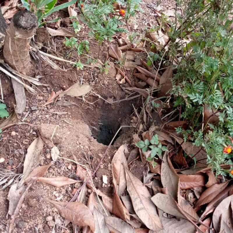 Security guard Haswel Zuma has warned of a dangerous hole caused by suspected underground cable bursts near a busy pedestrian walkway used by residents and schoolchildren, calling for urgent intervention before someone is hurt.