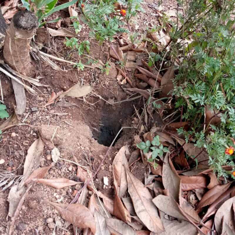 City Power says the area is now safe near Third and Melville roads in Hyde Park after isolating a damaged cable linked to repeated underground blasts.