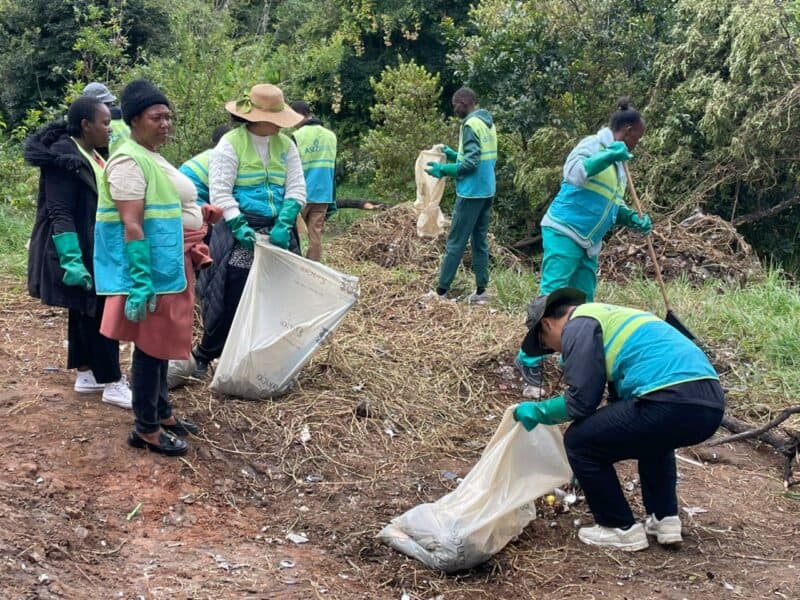 A large volunteer clean-up saw hundreds of bags of waste collected from the Sandspruit River greenbelt as residents push to transform the neglected space into a safe public park.