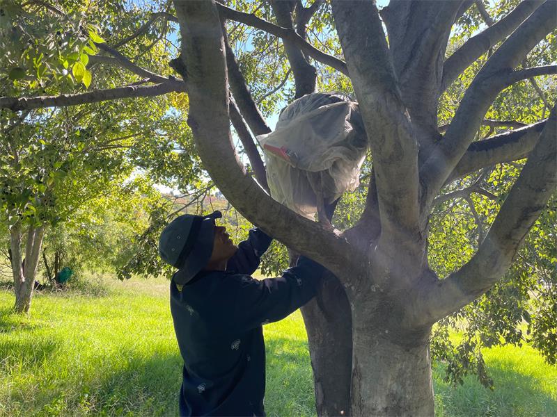 City of Johannesburg municipal departments sweep through George Lea Park South in Parkmore, removing squatters’ belongings and tackling illegal dumping during a high-impact operation.