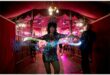 zingara3_25113