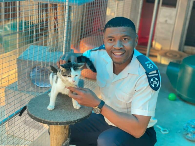 As winter temperatures drop, the Sandton SPCA is urging pet owners to keep their cats and dogs warm, well-fed, active, and loved, while encouraging the community to adopt animals in need of forever homes.
