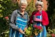 79-year-old volunteer gardeners Heidi Tietjens and Val Acher tend to the flower beds at Rosehaven Retirement Village on July 7, 2026.