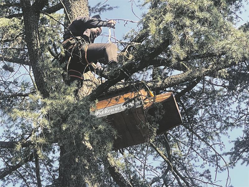 Godfree Sithole, from Owl Rescue Centre, installs owl nesting boxes at Field and Study Park on August 4, 2026. Photo: Xoliswa Zakwe