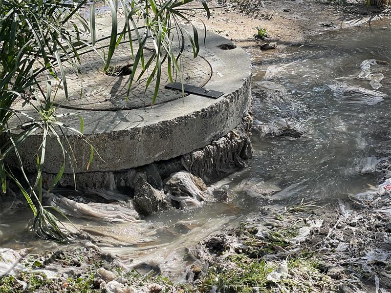 Sewage flows into the Sandspruit River following a recurring spill from a nearby manhole along Stiglingh Road in Edenburg on August 13, 2026. Photo: Xoliswa Zakwe