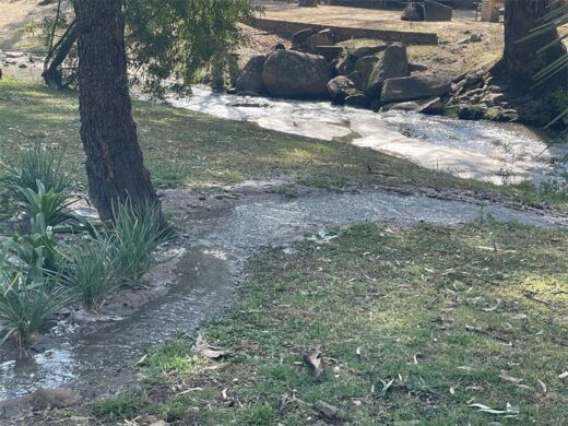 Sewage flows through the riverbank used by residents and dog walkers on August 13, 2026. Photo: Xoliswa Zakwe