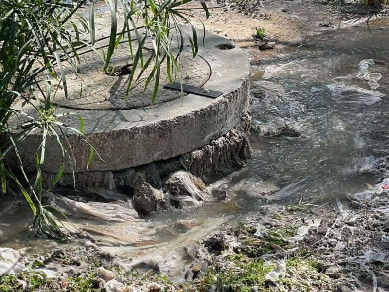 What should be a peaceful riverside escape has become a source of frustration for residents, as sewage spills continue to take away the joy of living next to the river.