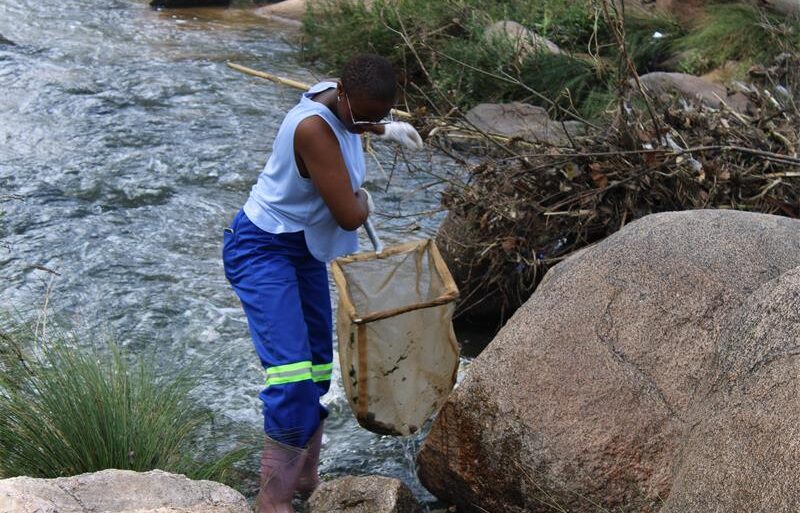 Hlanzekile River and Ocean Cleaning fresh water ecologist Siphelele Mbangata carries out a miniSASS assessment in the Braamfontein Spruit to identify aquatic organisms that indicate the river’s health on September 20, 2026.