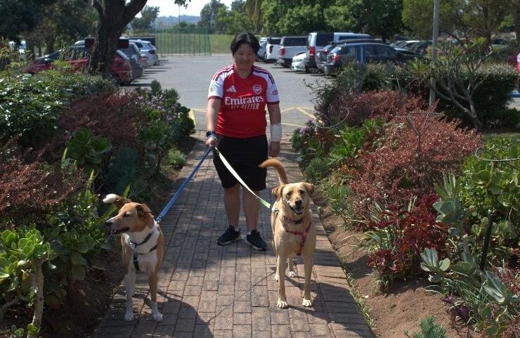 Friend of Sandton SPCA Vicky Tu brings her dogs Simba and Kiara to join the fun at the market day on September 26, 2026. Photo: Supplied