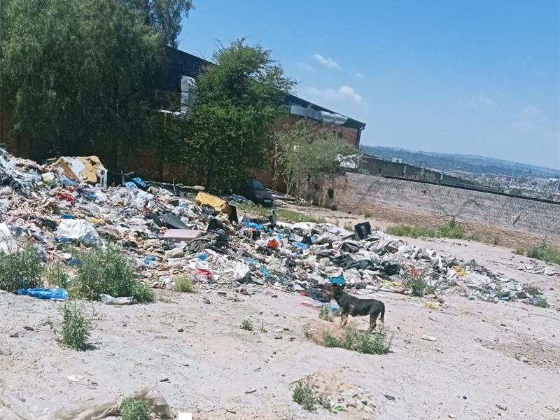 The home where two dogs were rescued by the Sandton SPCA. Photo: Supplied
