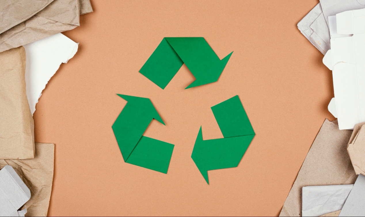 How to recycle paper effectively Alberton Record