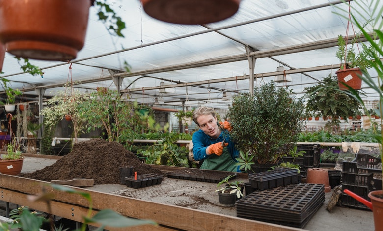 Gardening