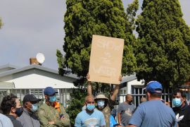 WhatsApp Image 2021-11-20 at 12.22.32 (1)