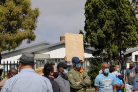 WhatsApp Image 2021-11-20 at 12.22.33 (1)