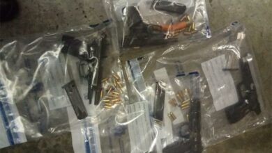 Threefirearmsrecove_98228