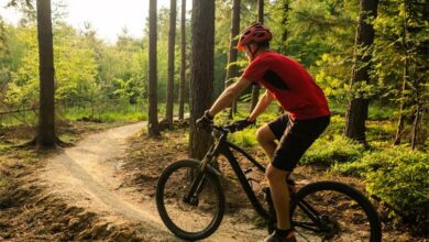 THABAECOCHALLENGE_33969