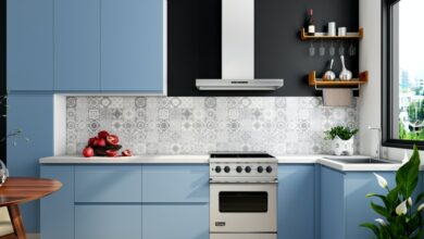 Colourful kitchen interior