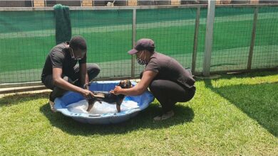 Bathandbrushday_68459