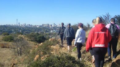 hikeonmelvilleko_45679