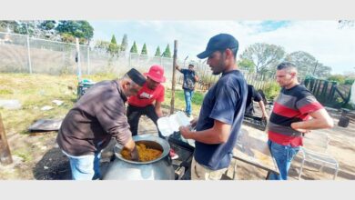 2221Lbaboo(2)_24495