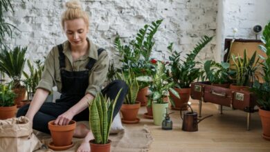 Gardening to improve mental health