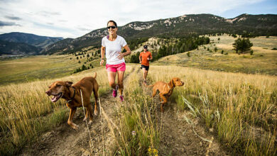Trail running in Big Sky with dogs