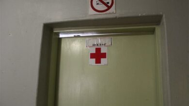 IMG_7482_07688