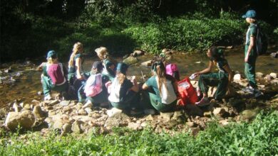 jancelliers-icouldst_56770