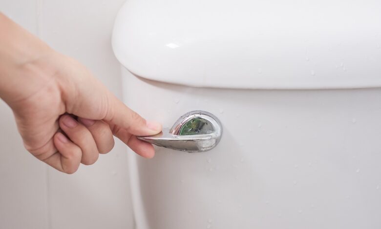 Hand,Press,And,Flush,Toilet.,Cleaning,,Lifestyle,And,Personal,Hygiene