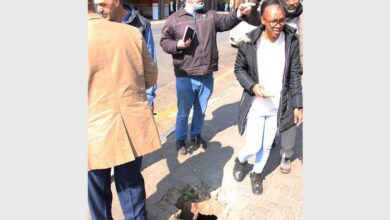 2232Lwalkabout(6)_35035