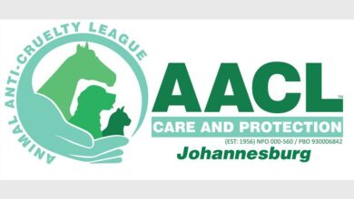 AACLLOGONPOPBOE_85586