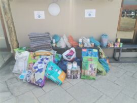 IMG_20220730_122809_05475