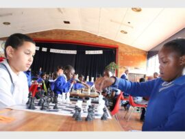 2239Lchess(4)_75530