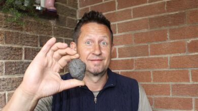 2239Lmeteorite(1)_03028