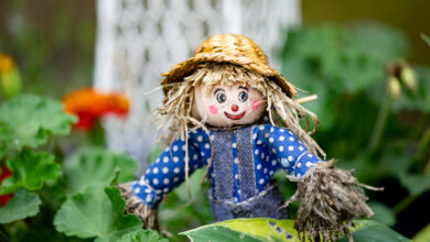 Help your child make this fun Halloween scarecrow