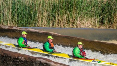 MIKEROYNORMANANDREW_86598