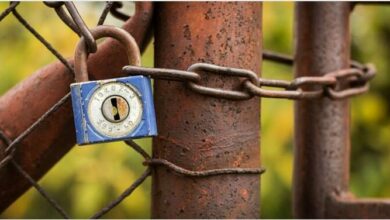 fence-1726295_1920_25428