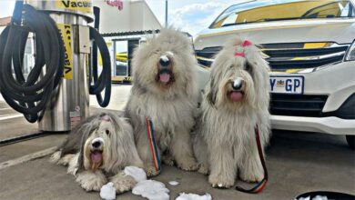 IMG-20221026-WA0019_81374