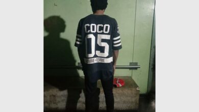 2303Lweapon(1)_18114