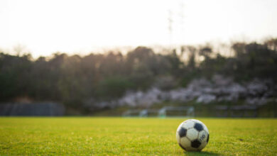 A soccer ball placed on a lawn with cherry blossoms.