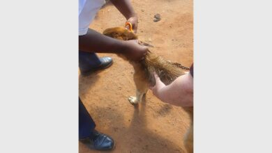 328125141_548493834_76503